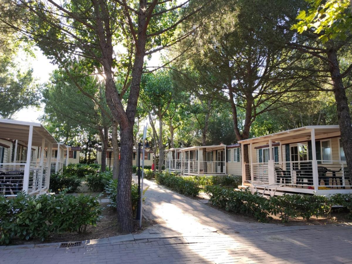 Badiaccia Village Camping Castiglione del Lago Eksteriør bilde